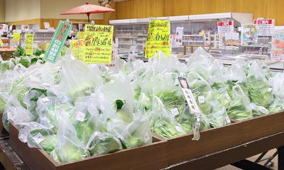 直売所・古河マルシェ　まくらが