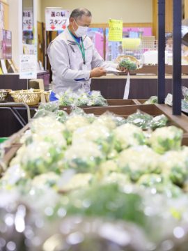 スタッフが作業している写真